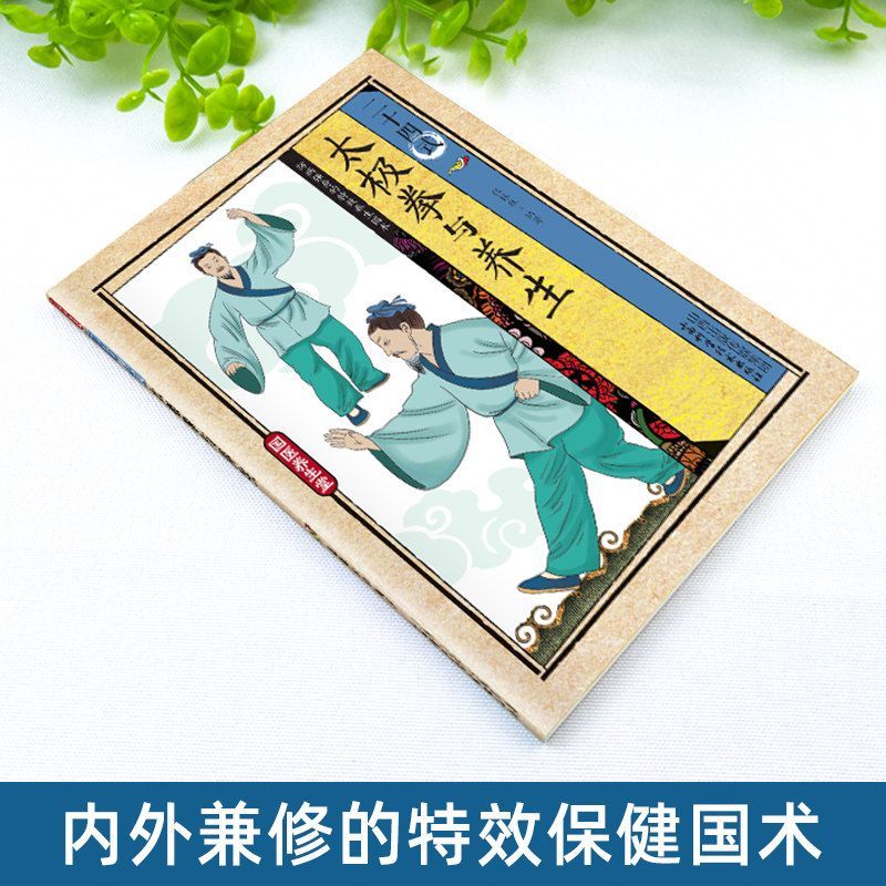 24 Style Tai Chi i ćwiczenia z – Health & Wellness Japan 2026 recenzja i cena