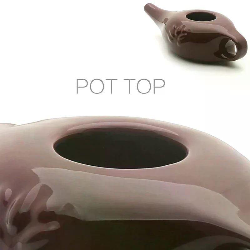 Zestaw do płukania nosa na zap – Neti Pot Nasal Rinse recenzja i cena