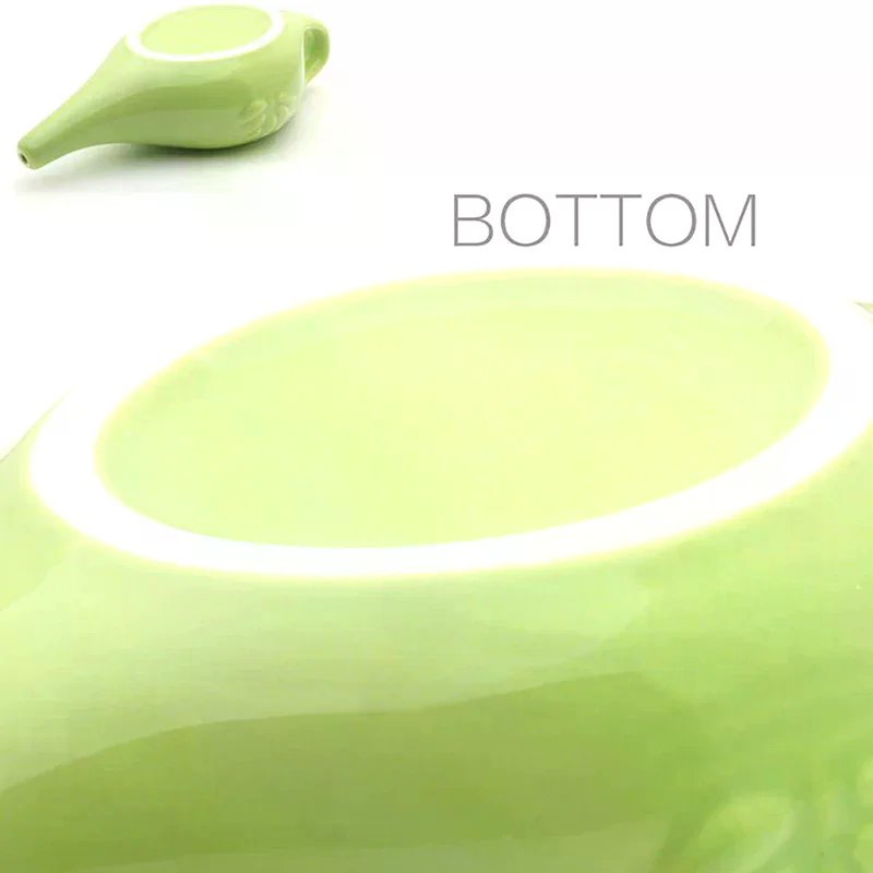 Zestaw do płukania nosa na zap – Neti Pot Nasal Rinse recenzja i cena