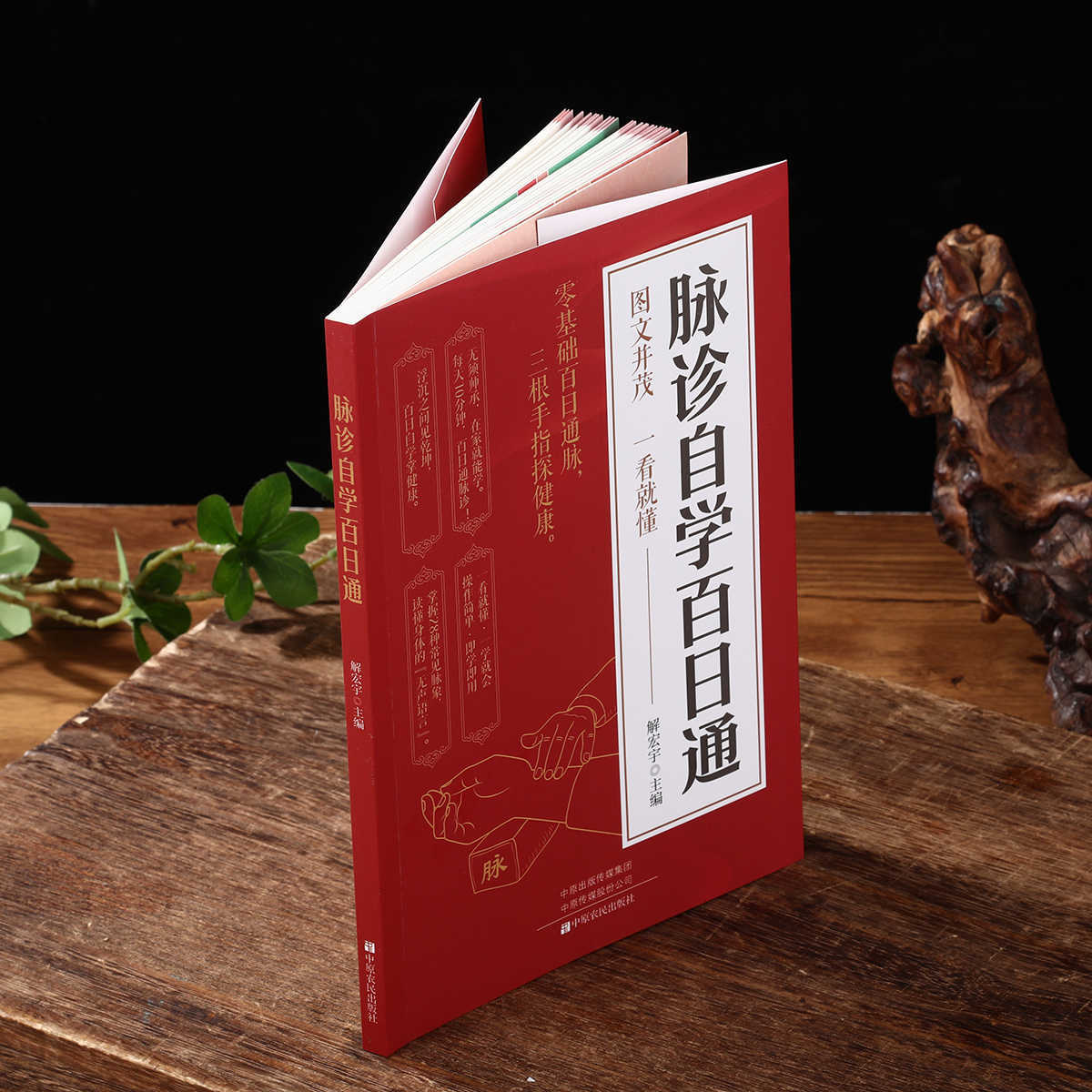 Samodzielna nauka diagnostyki  – Health & Wellness Japan 2026 recenzja i cena