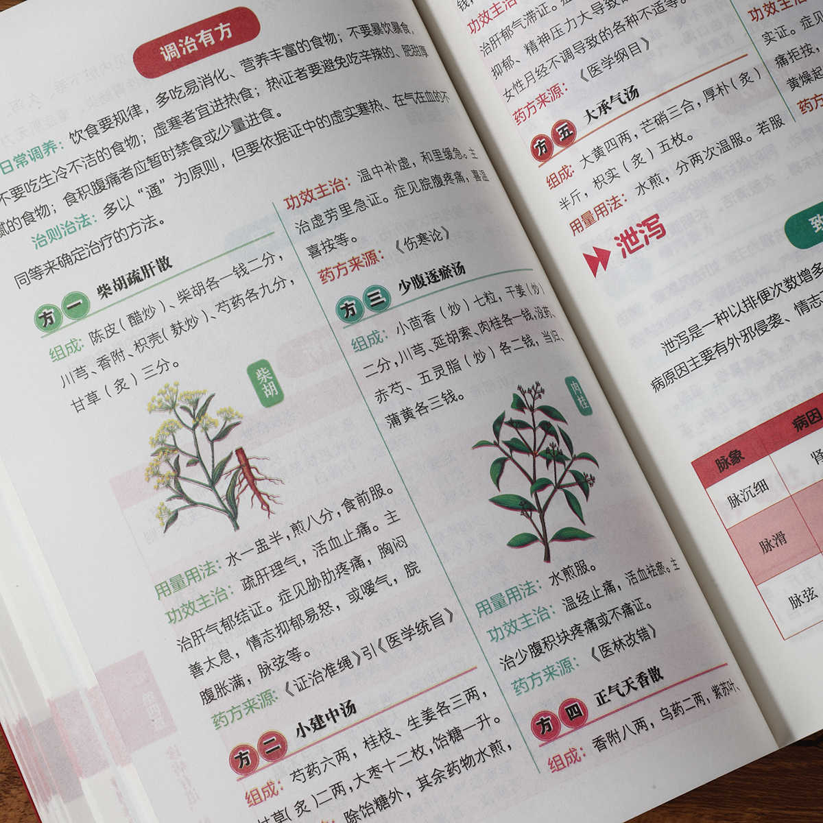 Samodzielna nauka diagnostyki  – Health & Wellness Japan 2026 recenzja i cena